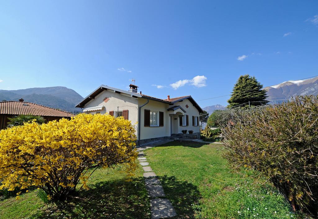 Vitali Apartamento *